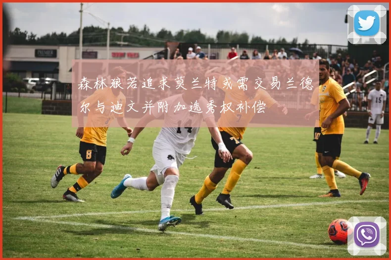 森林狼若追求莫兰特或需交易兰德尔与迪文并附加选秀权补偿