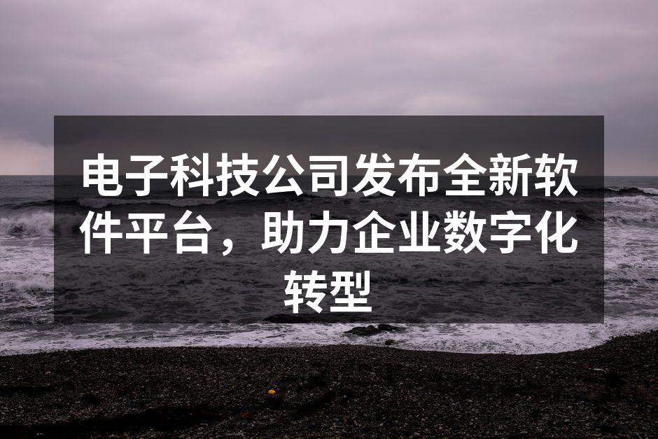 电子科技公司新软件平台界面展示